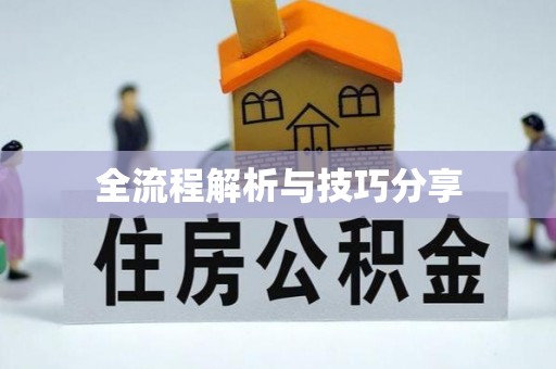 新埔全流程解析与技巧分享